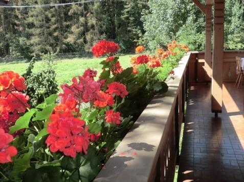 Burgblick Hotel San Lorenzo di Sebato Kültér fotó